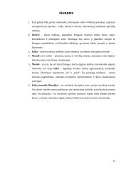 Dorovės, moralės, etikos ir moralės sampratos 13 puslapis