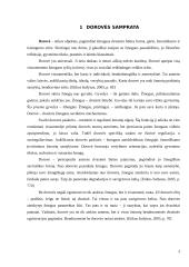 Dorovės, moralės, etikos ir moralės sampratos 3 puslapis