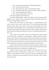 Dorovės, moralės, etikos ir moralės sampratos 5 puslapis