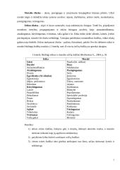 Dorovės, moralės, etikos ir moralės sampratos 7 puslapis