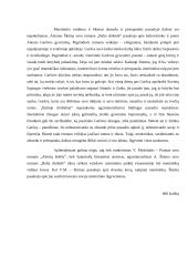Menininko tema literatūroje 2 puslapis
