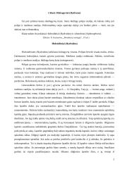 Duobagyviai 2 puslapis