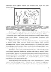 Duobagyviai 3 puslapis