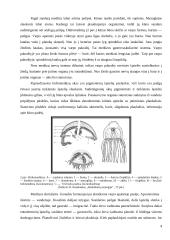 Duobagyviai 4 puslapis