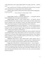 Duobagyviai 5 puslapis