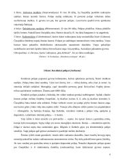 Duobagyviai 9 puslapis