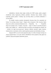 Duomenų bazių valdymo sistemų lyginamoji analizė 11 puslapis