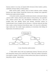 Duomenų bazių valdymo sistemų lyginamoji analizė 5 puslapis