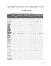 Dviejų šalių energetinių sistemų efektyvumo palyginimas: Lietuva ir Ispanija 12 puslapis