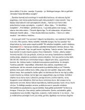 Poezijos versmė - kūrėjo asmenybė? 2 puslapis