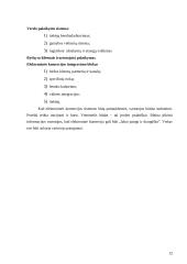 Elektroninės logistikos suvokimo ypatumai 12 puslapis