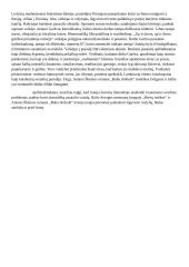 Ironiškas požiūris į pasaulį literatūroje (J. Savickis, A. Škėma) 2 puslapis