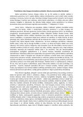 Pasirinkimas, kaip žmogaus dramatizmo priežastis, lietuvių neoromantikų literatūroje