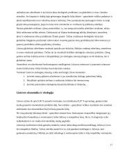 Ekonomika ir ekologija 17 puslapis