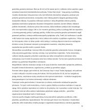 Ekonomika ir ekologija 19 puslapis