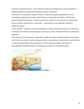 Ekonomika ir ekologija 20 puslapis
