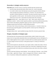 Ekonomika ir ekologija 4 puslapis