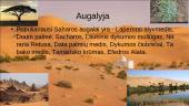 Apie Saharos dykumą 10 puslapis