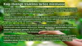 Triukšmo tarša (arba aplinkos triukšmas) 13 puslapis