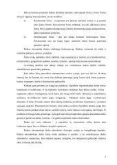 Ekonomikos problemos 5 puslapis