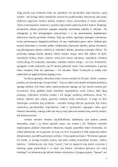 Ekonomikos problemos 7 puslapis