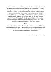 Knygos aprašymas „Mergina su perlo auskaru" 2 puslapis