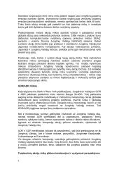 Tarptautinės akcijų rinkos 6 puslapis