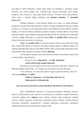 Ekonomikos stabilumas 12 puslapis