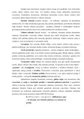 Ekonomikos stabilumas 13 puslapis