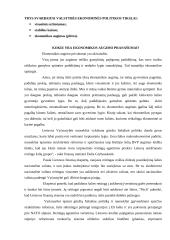 Ekonomikos stabilumas 16 puslapis