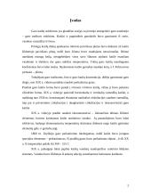 Ekraniniai garo katilai 2 puslapis