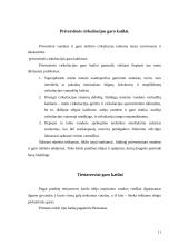 Ekraniniai garo katilai 11 puslapis