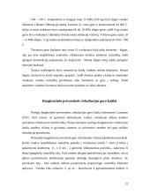 Ekraniniai garo katilai 12 puslapis