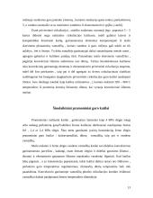 Ekraniniai garo katilai 13 puslapis