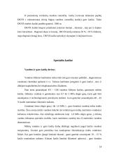 Ekraniniai garo katilai 14 puslapis