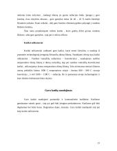 Ekraniniai garo katilai 15 puslapis