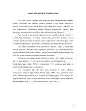 Ekraniniai garo katilai 4 puslapis