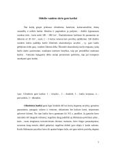 Ekraniniai garo katilai 5 puslapis