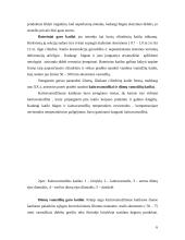 Ekraniniai garo katilai 6 puslapis