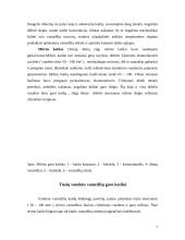 Ekraniniai garo katilai 7 puslapis