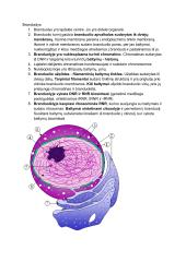 Prokariotų ir eukariotų ląstelės 4 puslapis