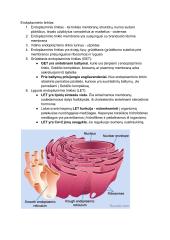 Prokariotų ir eukariotų ląstelės 5 puslapis