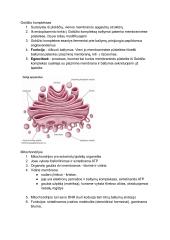 Prokariotų ir eukariotų ląstelės 6 puslapis