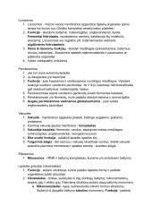 Prokariotų ir eukariotų ląstelės 8 puslapis