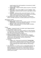 Prokariotų ir eukariotų ląstelės 9 puslapis