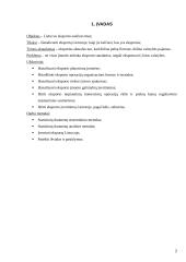 Eksportas Lietuvoje 2 puslapis