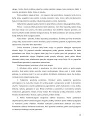 Eksportas Lietuvoje 12 puslapis