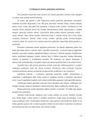 Eksportas Lietuvoje 13 puslapis