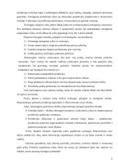 Eksportas Lietuvoje 5 puslapis