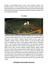 Lietuvos ekstremalios situacijos 5 puslapis